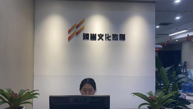 成都传媒公司类型解析：多元布局下的内容生态